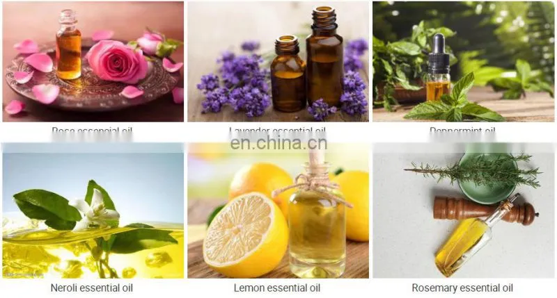 10-30L lemon essential oil distillation equipment