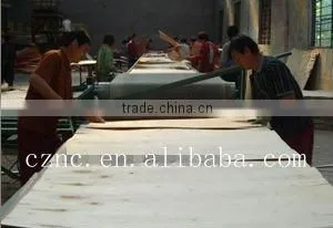 poplar plywood
