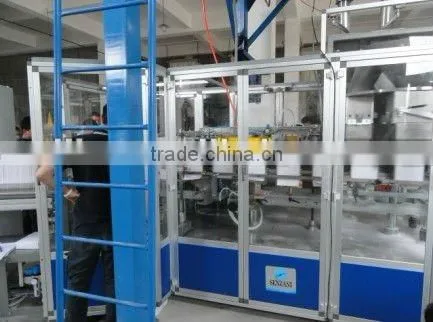 CARTON PACKED WASHING POWDER