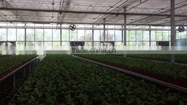 Agricultural Greenhouses Used Sale