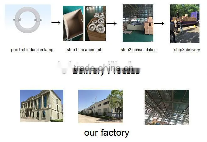 high quality best price induction lamp,cost-effictive indcution lamp price