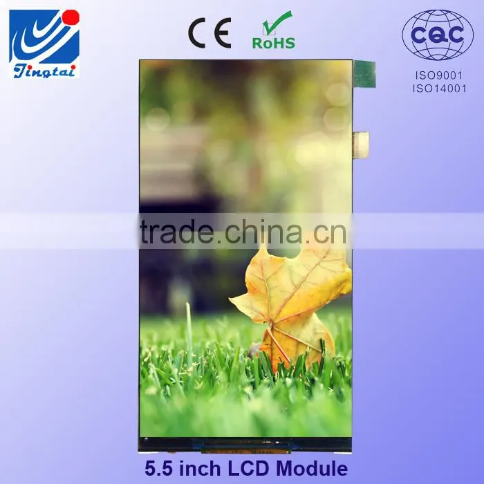 China manufacturer 5.5 inch flat panel display lcd