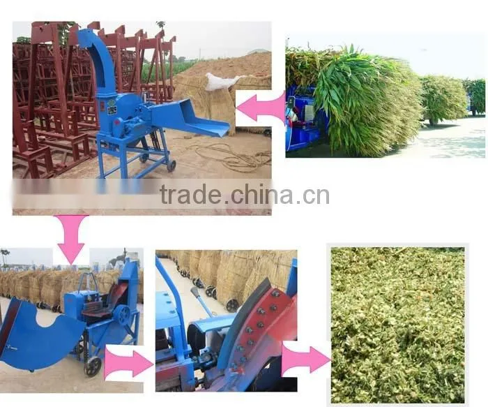 Cattle/sheep feed chaff cutter for hay