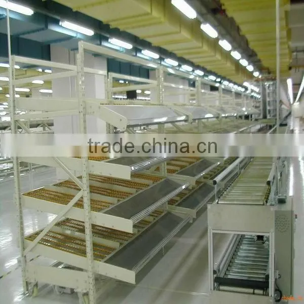 warehouse storage Carton Flow Rack
