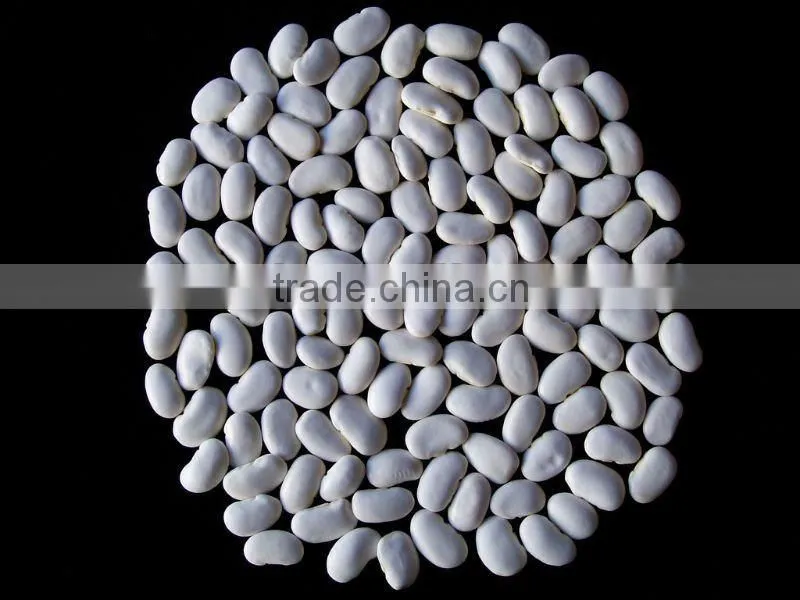 Low price large white kidney beans