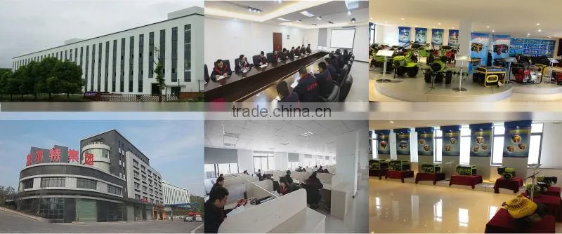 Low price Kailt Hotsale factory large supply 15HP,190F Honda Gasoline power motor engine,OEM