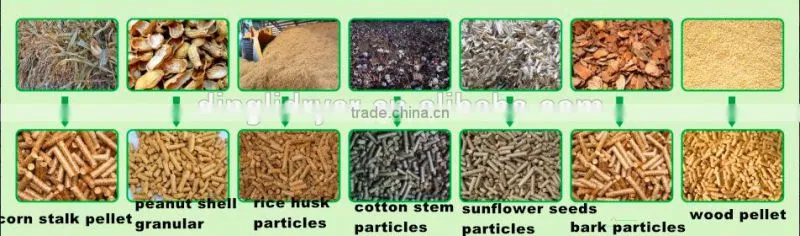 henan zhengzhou bay leaf drying machine/leaves drying machine for sale