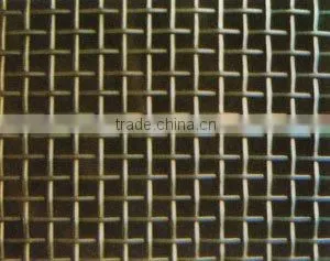 30 Mesh Square Wire Mesh (factory/good qality/low price)
