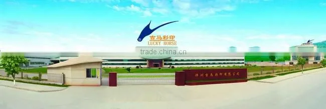 BE flute double wall offset printing corrugated board box packaging made in china