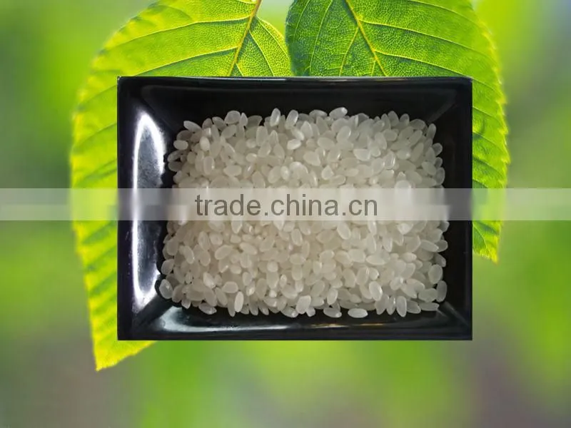 Gaishi Joponica Sushi Short Grain Round Rice