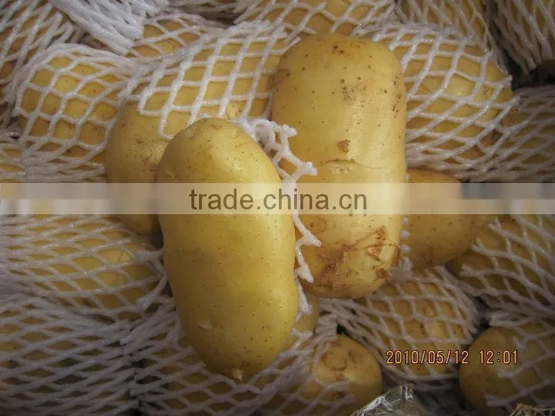 fresh potato buyers