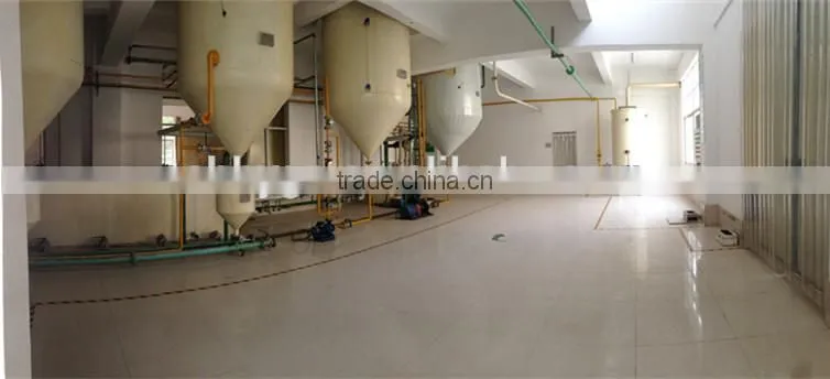 ORGANIC TEA SEED OIL-GREEN TEA SEED OIL-CAMELLIA SINENSIS O KTZE- TOP FACTORY