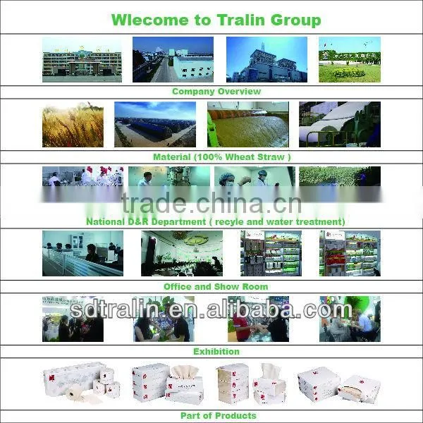 Industrial wiping paper(YLK 240)