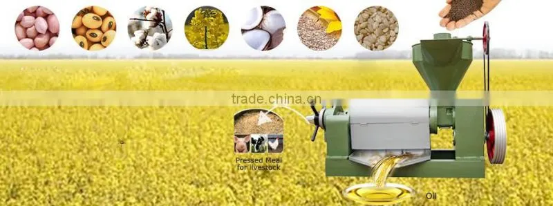 6YL-100 semi-automatic oil press machine