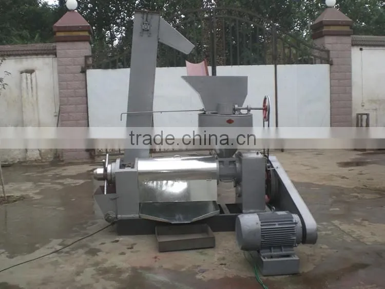 Soybeans Biofuel Processing Oil Production 6YL-165