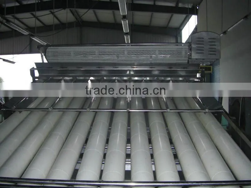 Prawn Shrimp Grading Machine,