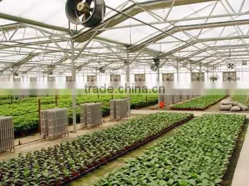Sun Sheets & PC Embossed Sheets Type plastic film sheet