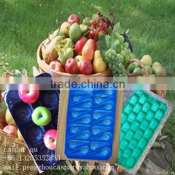 Chinese gold manufacturers plastic Fruit Tray with cells