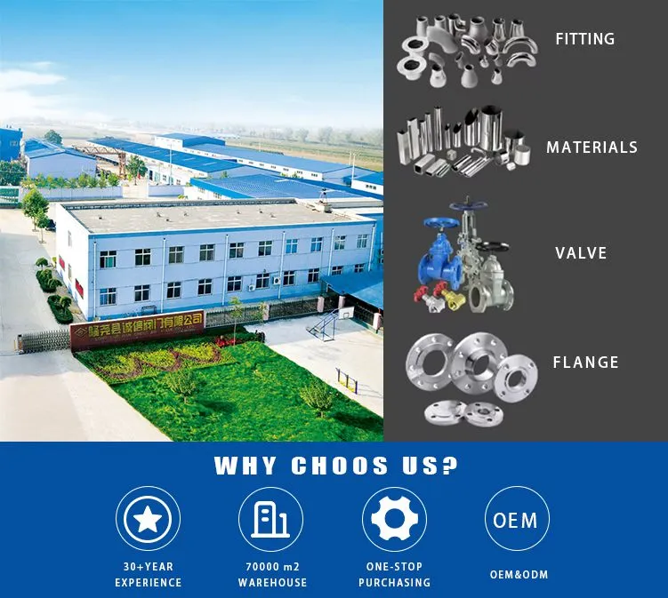 BS Swing Check Valve 1-9.jpg.webp