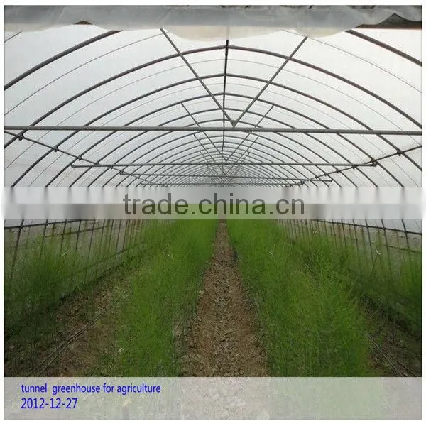 vegetable tunnel greenhouse