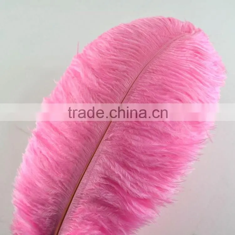 Pink Ostrich Plumes Feathers, Feather Ostrich Plumes, Different Colours Carnival Ostrich Feathers