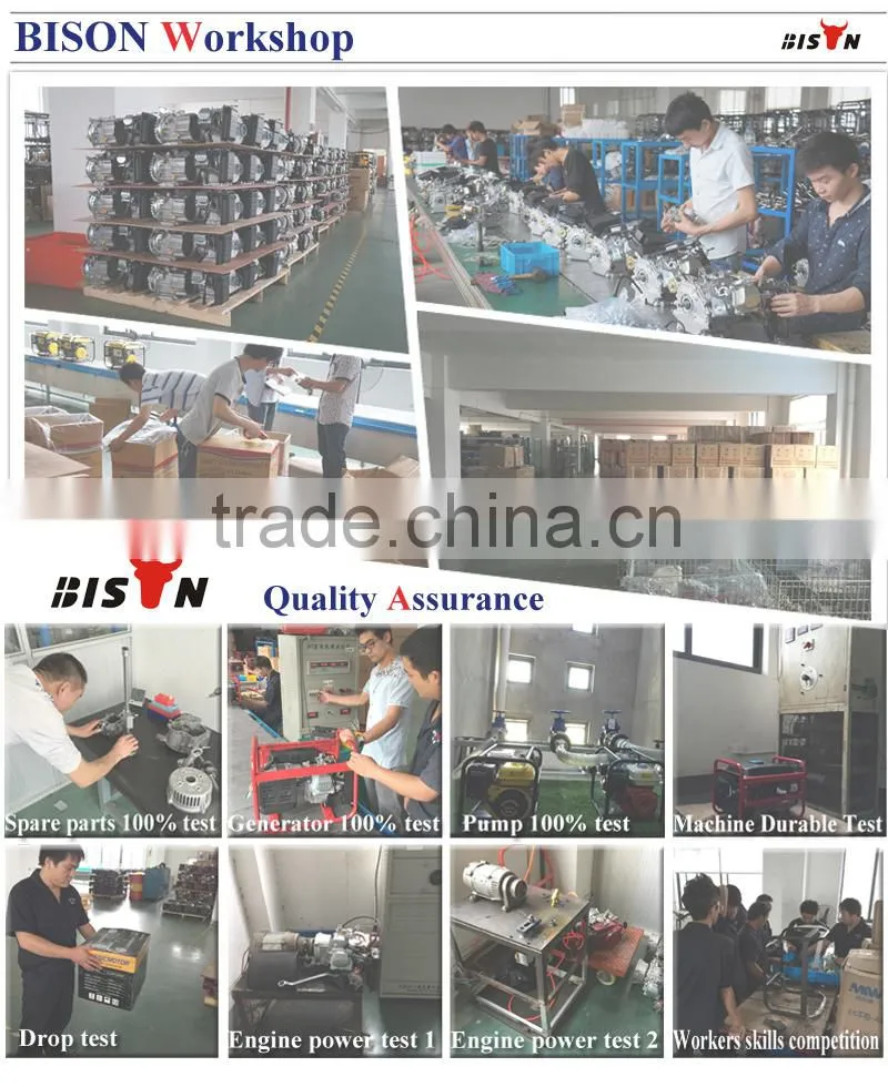 BISON(CHINA) Gasoline Engine 170F 7hp