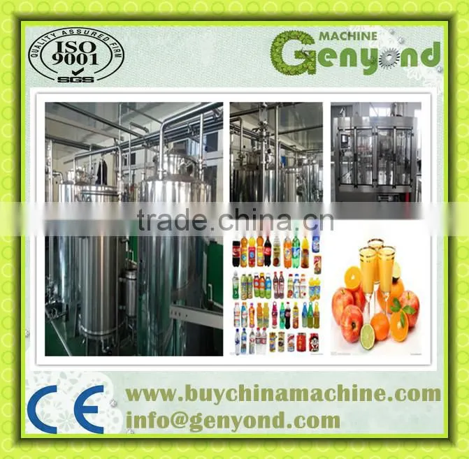 Professional automatic fresh fruit juice production line (Turkey Project) with factory price