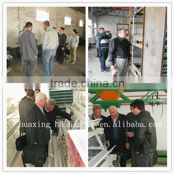 Huaxing New Design automatic Broiler /dorking chicken Cage