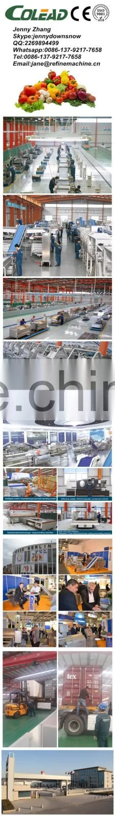 stainless steel vegetable washing machine/vegetable processing machine/vegetable cutting machine from Colead