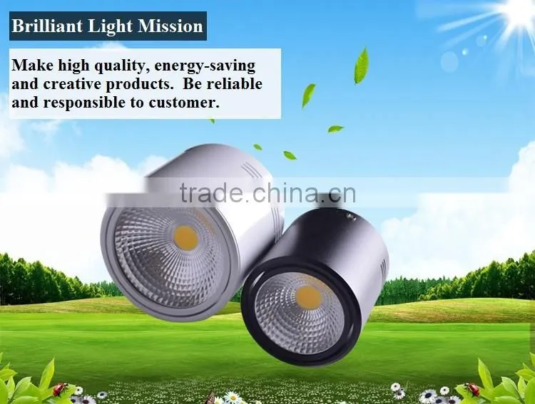 High quanlity led COB Downlights, LED indoor lights, LED Surface Mounted Downlights