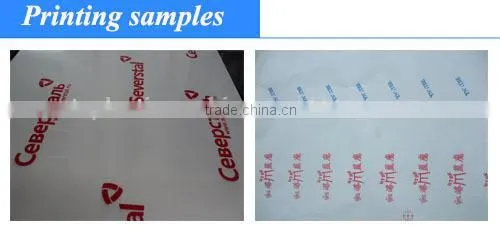 Two colors/colours flexographic printing machine