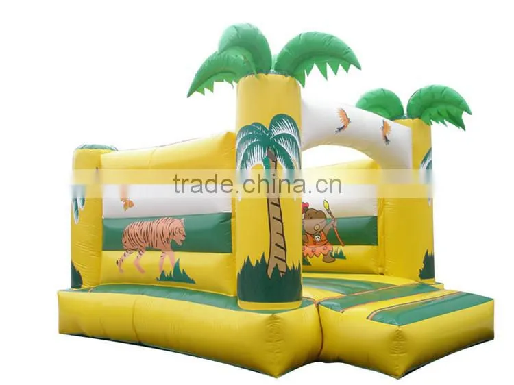 Interesting Inflatable Princess Bouncy Castle