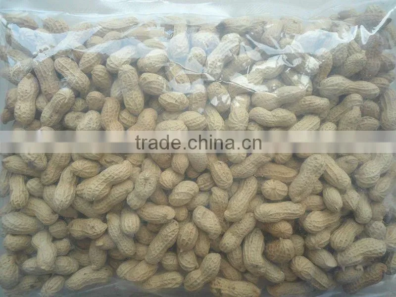 shandong dry roasted peanut with shell