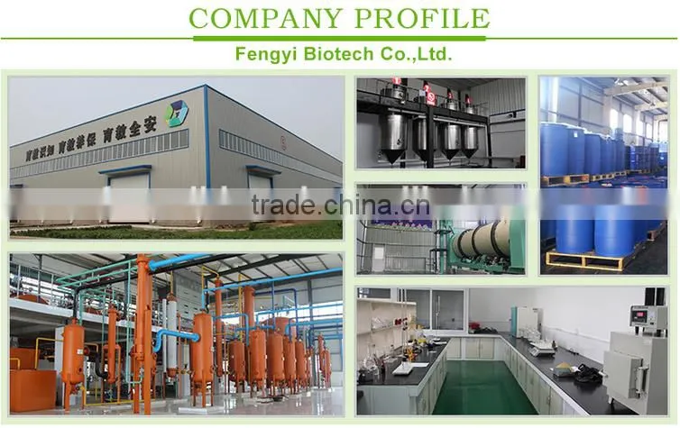 Wheat Polypeptides China Manufacturer