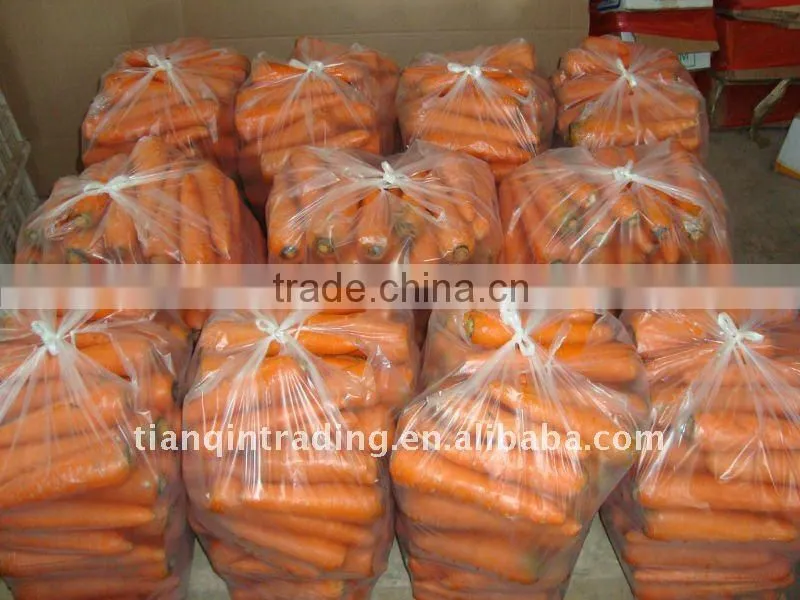 export red carrot