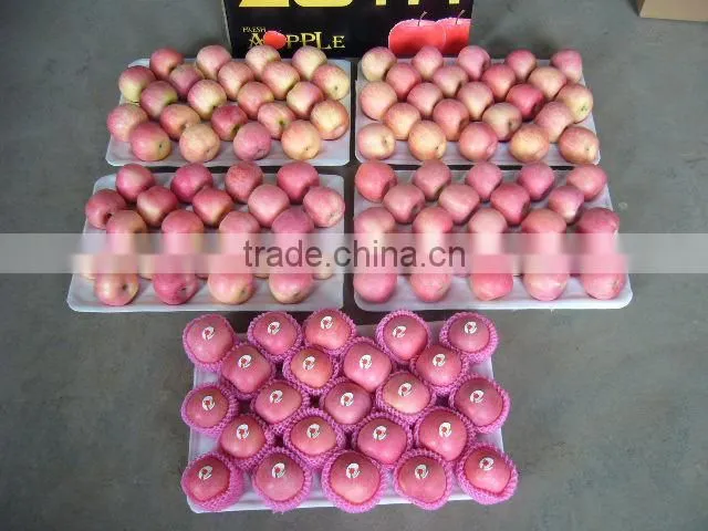 Fresh Fruit Apple for India Market
