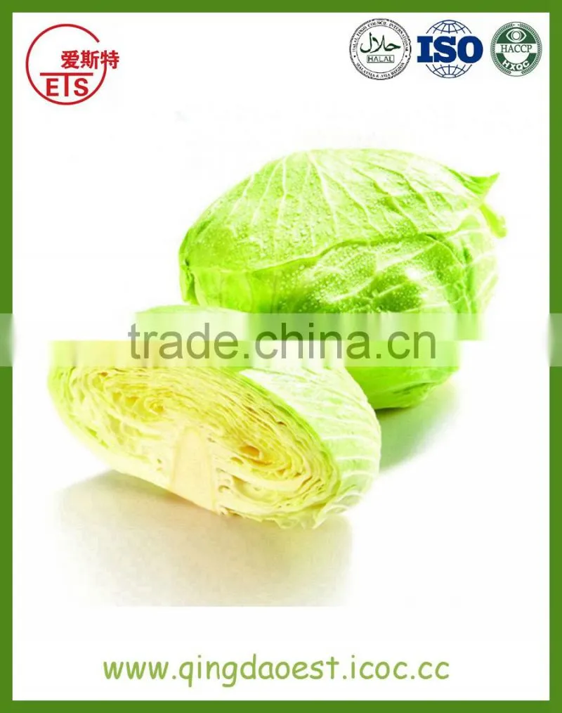 Chinese high quality fresh green cabbage