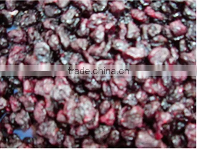 fruit drier