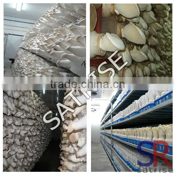 China Supplier Provide vertical air flow clean bench price