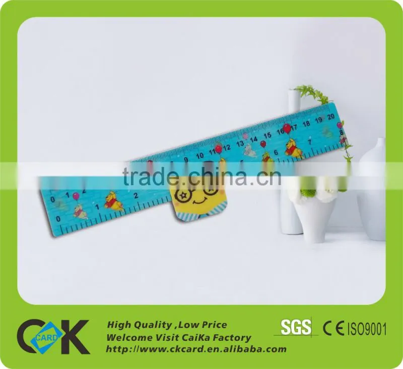 Custom Logo offset Printing PVC Ruler from China printing manufacturer