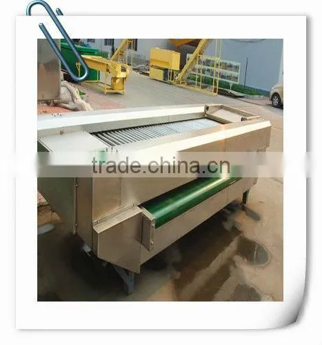 dates processing line