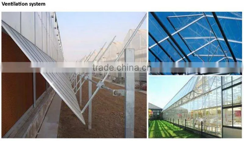 Cheap Invernadero Greenhouse