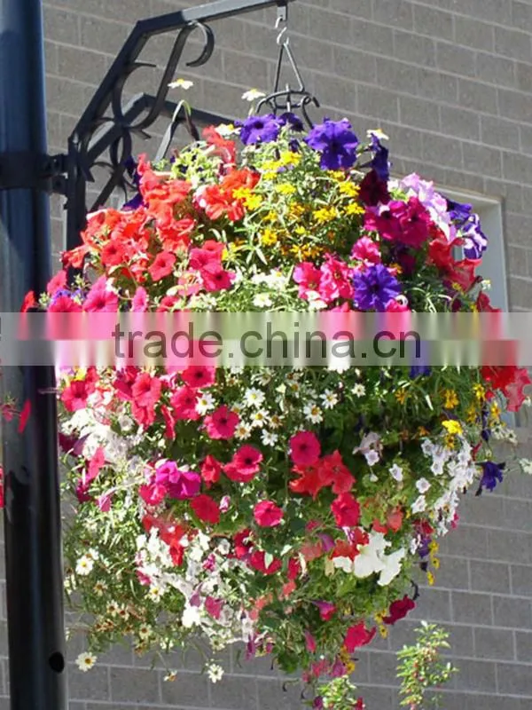 SOL best-selling hanging basket wholesale plastic flower pots indoor outdoor hanging planters