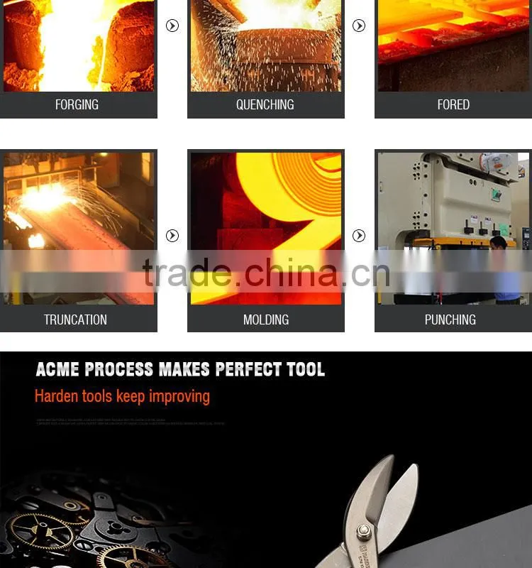 Professional Stainless Steel Scissors