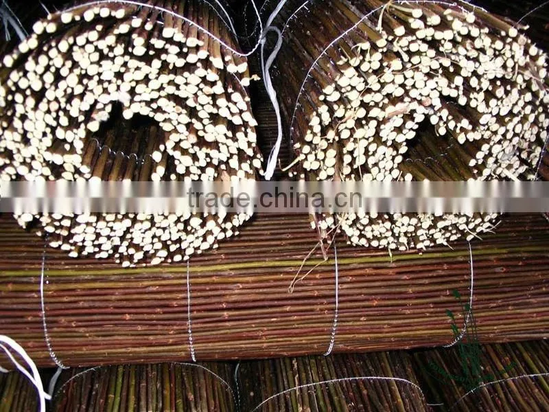 willow fence