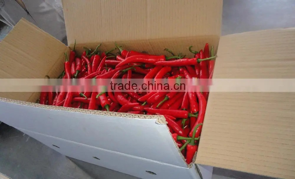 Frozen Hot Red Chili Pepper from Vietnam