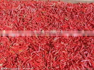 Chilli Dehydrated Powder and Chilli Dehydrated machine with factory price