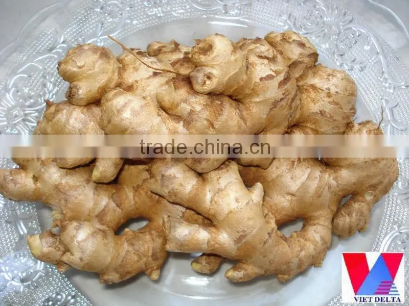 Fresh Ginger Grade 1
