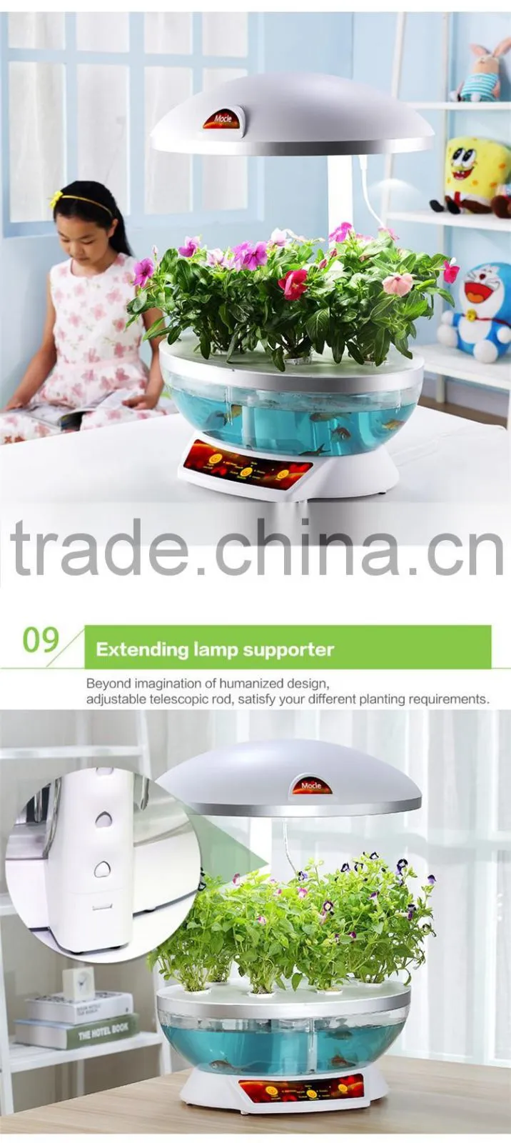 grow expand water toys