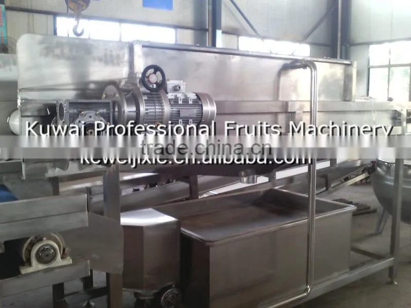 1 ton YXJ-1 Model high pressure spraying cleaner(Industrial fruits washer)